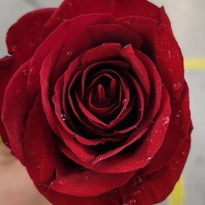 Meet your Posher, Kara